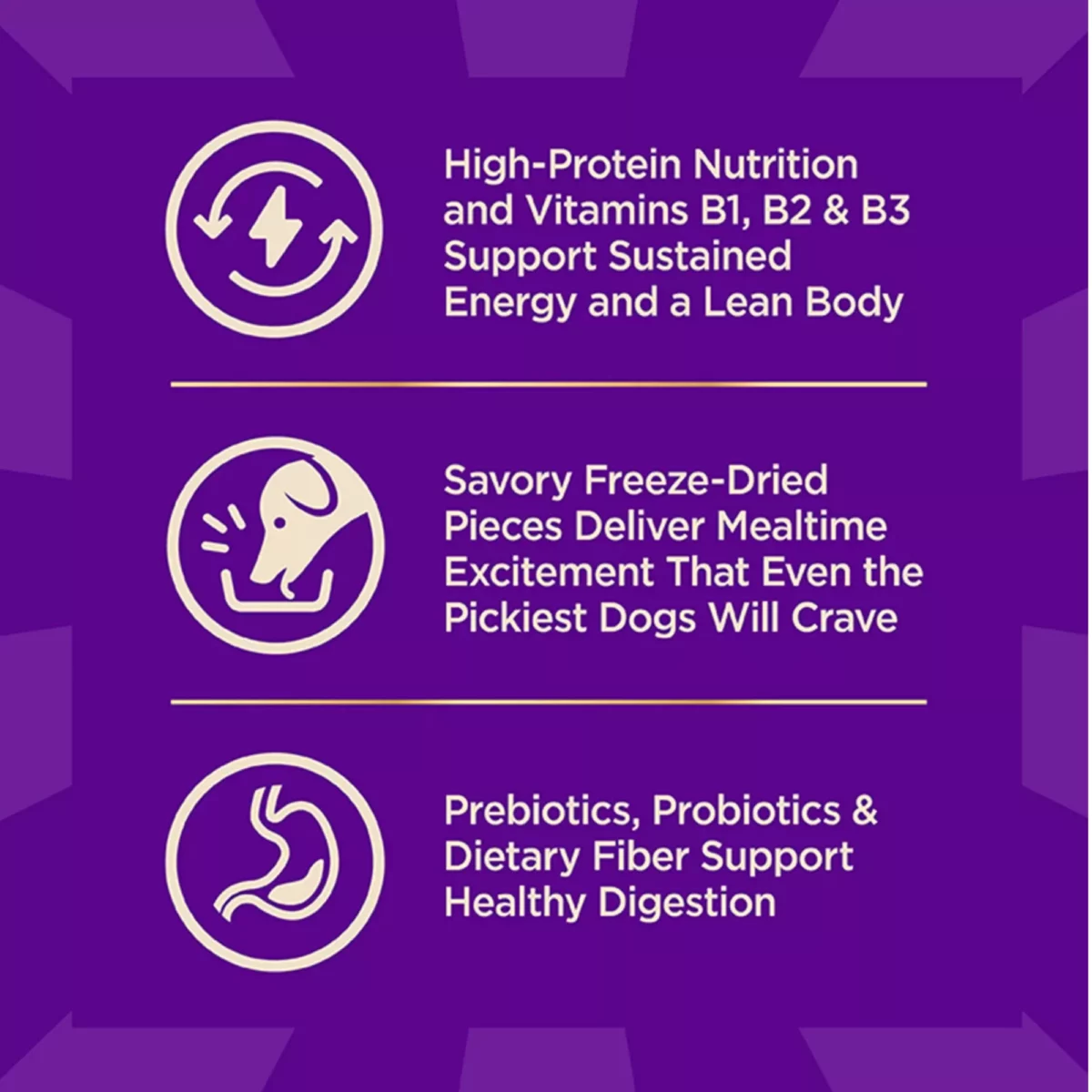 CORE High Protein Dry Dog Food with Freeze Dried Pieces – Beef Barley Wholesome Grains 5