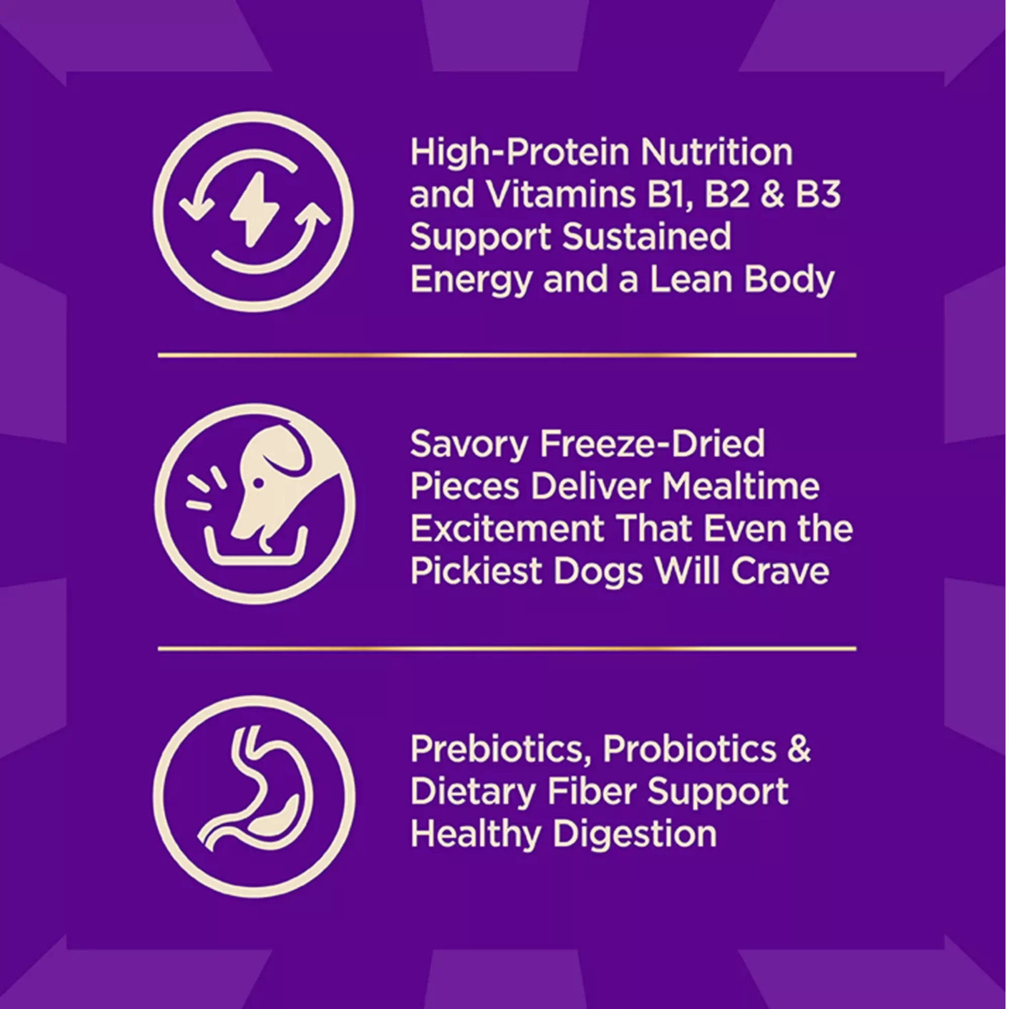 CORE High Protein Dry Dog Food with Freeze-Dried Pieces – Beef & Barley, Wholesome Grains (5) CORE High Protein Dry Dog Food with Freeze Dried Pieces – Beef Barley Wholesome Grains 5