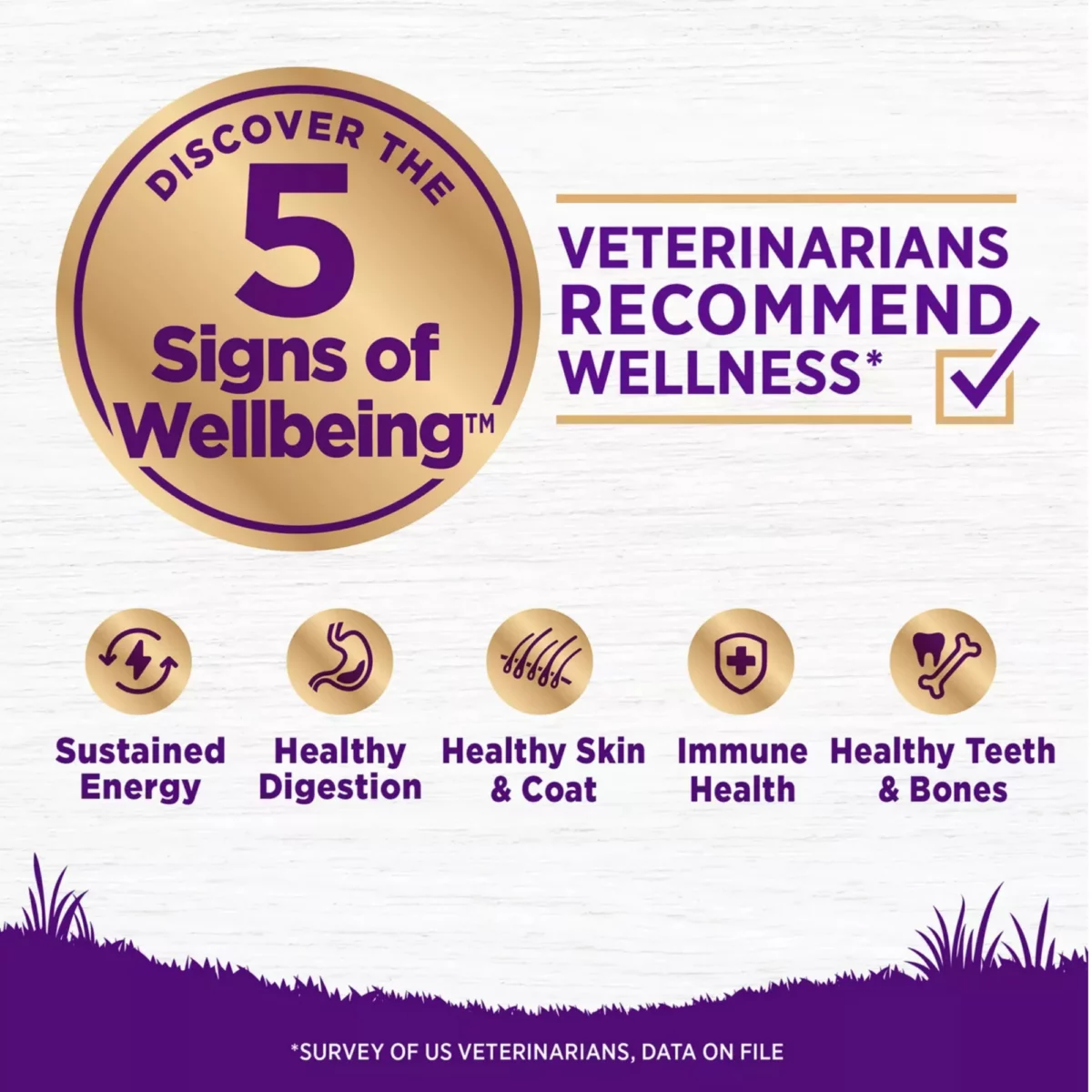 Complete Health Senior Dry Dog Food – Natural Chicken Barley Recipe 4