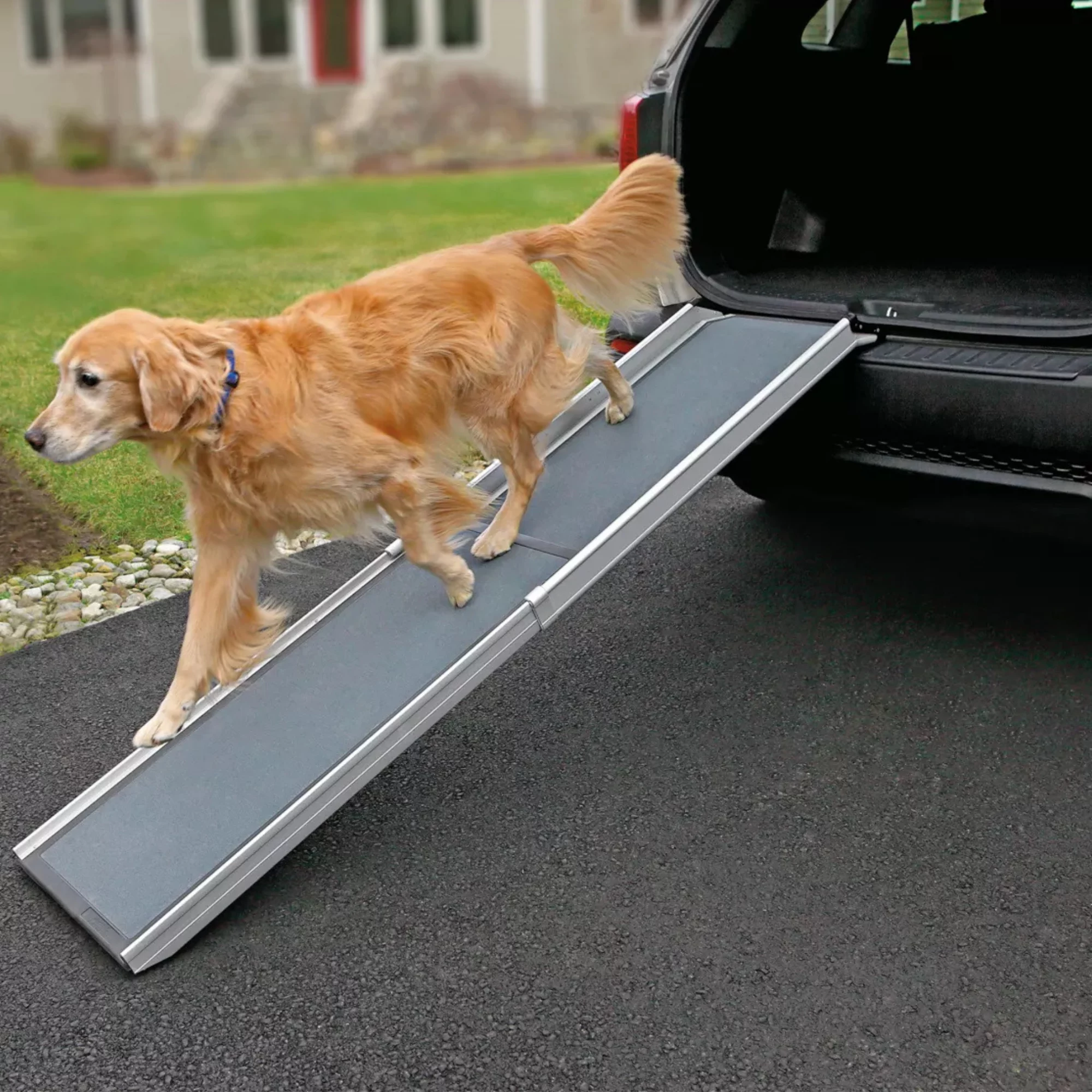 Deluxe Telescoping Pet Ramp – Adjustable Lightweight Dog Ramp for Cars & SUVs (4) Deluxe Telescoping Pet Ramp – Adjustable Lightweight Dog Ramp for Cars SUVs 4