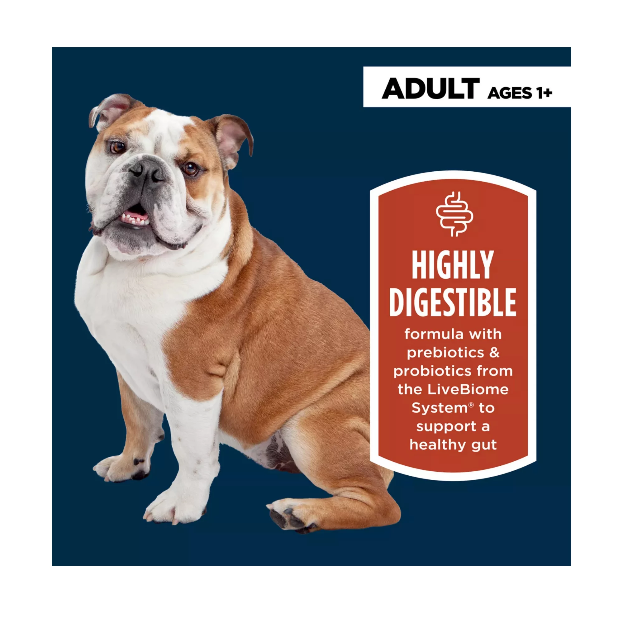 Digestive Support Adult Dry Dog Food – Chicken & Rice Formula (5) Digestive Support Adult Dry Dog Food – Chicken Rice Formula 5