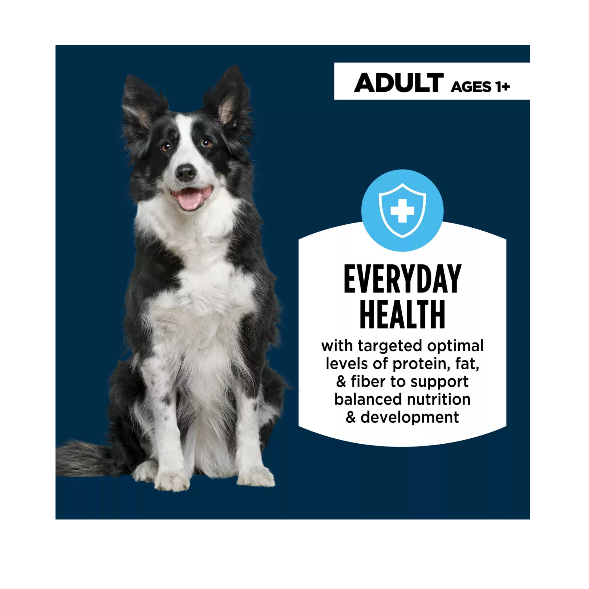 Everyday Health Adult Dry Dog Food – Lamb & Rice Formula, 34 lb (3) Everyday Health Adult Dry Dog Food – Lamb Rice Formula 34 lb 3