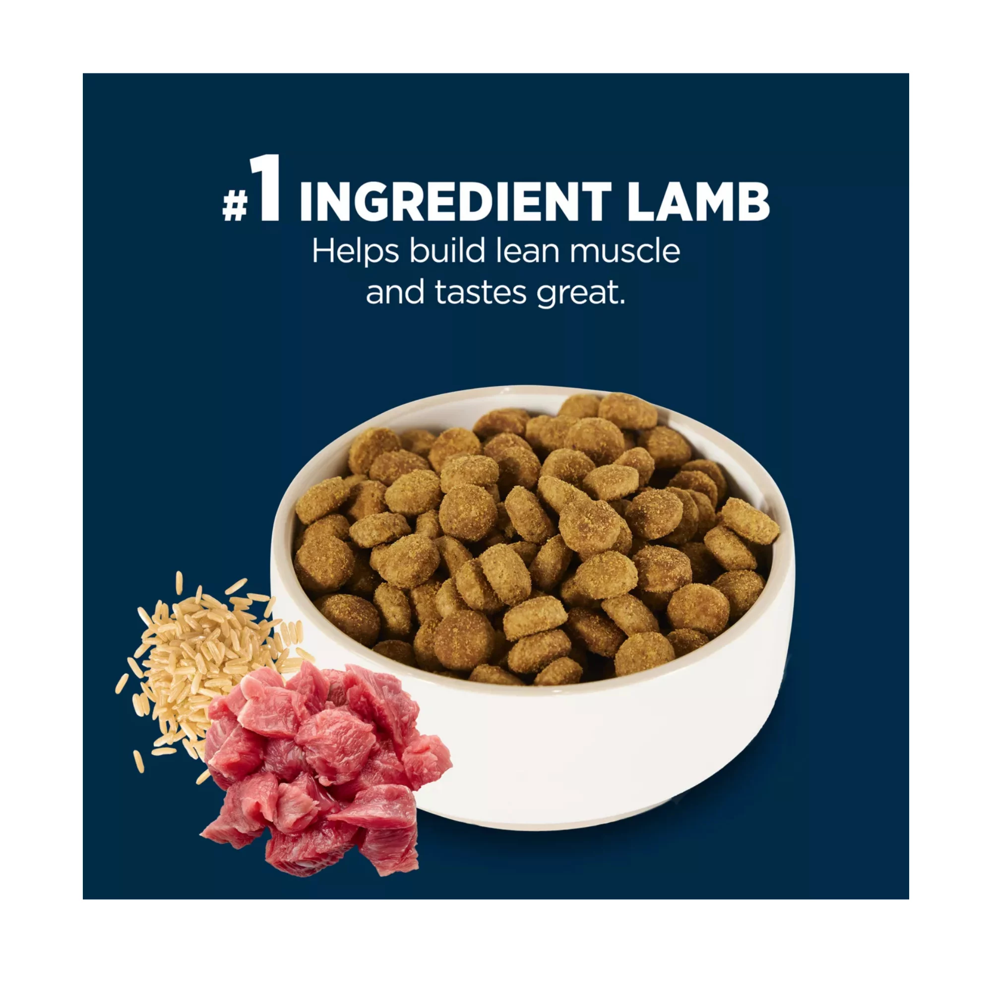 Everyday Health Adult Dry Dog Food – Lamb & Rice Formula, 34 lb (4) Everyday Health Adult Dry Dog Food – Lamb Rice Formula 34 lb 4