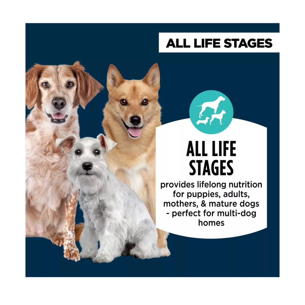 Everyday Health Dry Dog Food – Chicken Rice Formula for All Life Stages 5