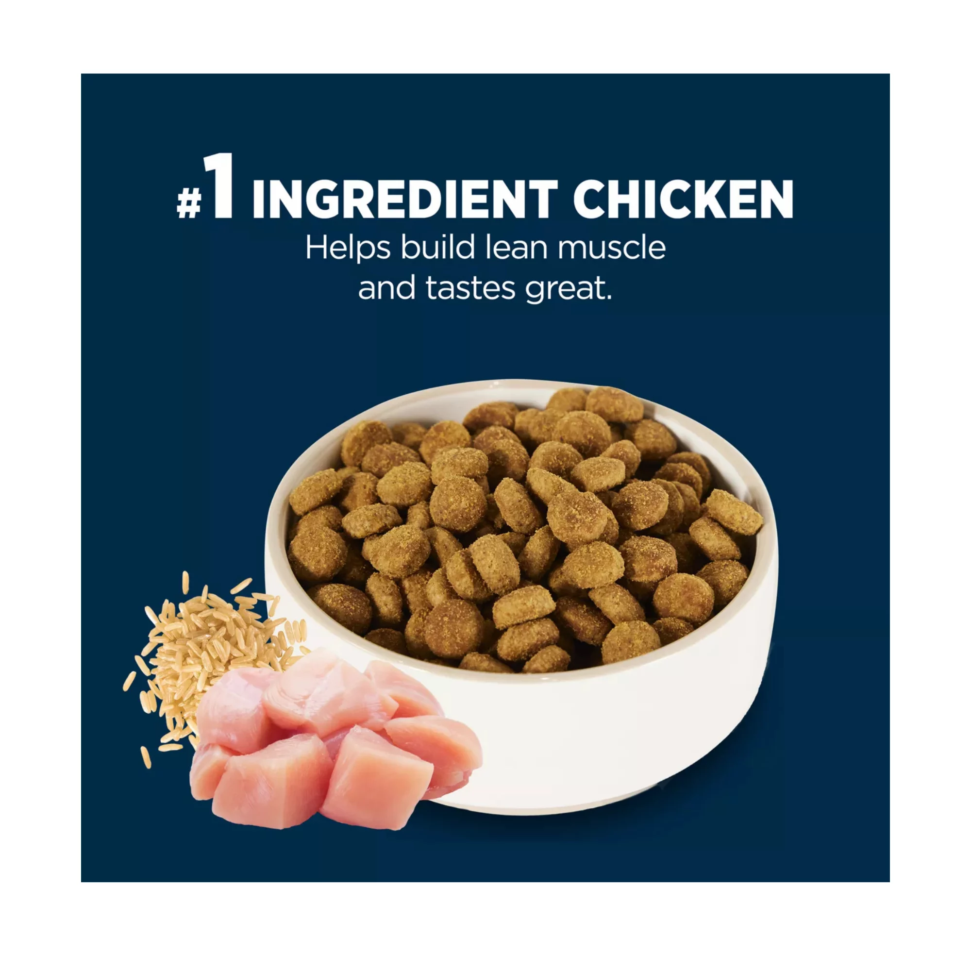 Everyday Health Dry Dog Food – Chicken & Rice Formula for All Life Stages (6) Everyday Health Dry Dog Food – Chicken Rice Formula for All Life Stages 6