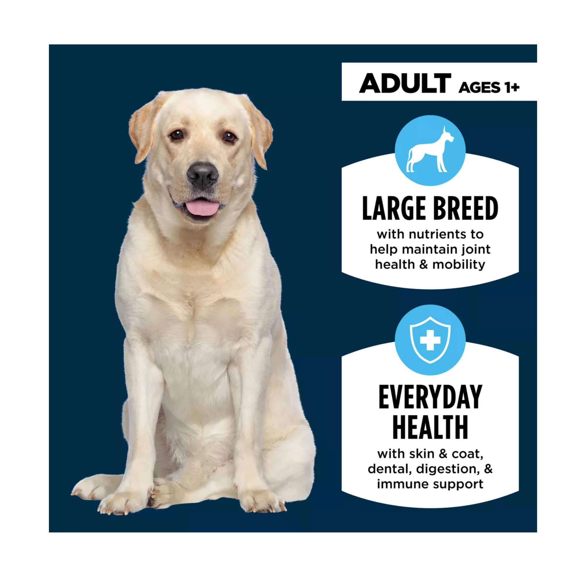 Everyday Health Large Breed Adult Dry Dog Food – Chicken & Rice Formula (5) Everyday Health Large Breed Adult Dry Dog Food – Chicken Rice Formula 5