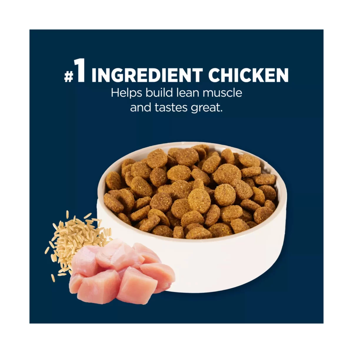 Everyday Health Large Breed Adult Dry Dog Food – Chicken Rice Formula 6