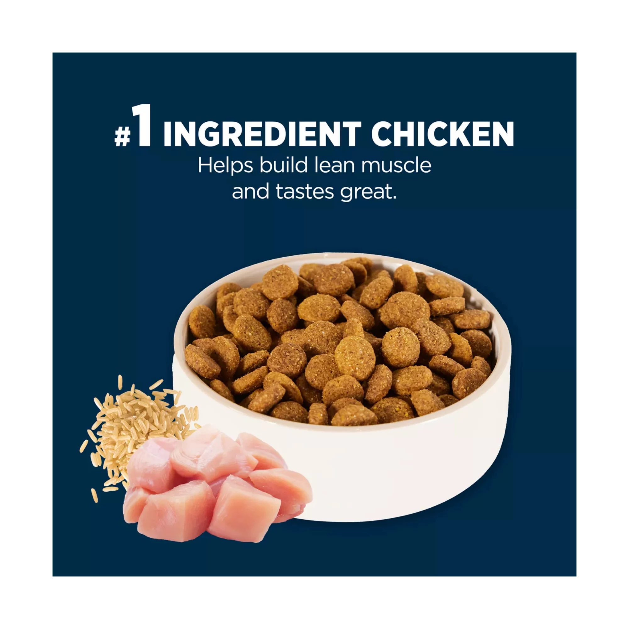 Everyday Health Large Breed Adult Dry Dog Food – Chicken & Rice Formula (6) Everyday Health Large Breed Adult Dry Dog Food – Chicken Rice Formula 6