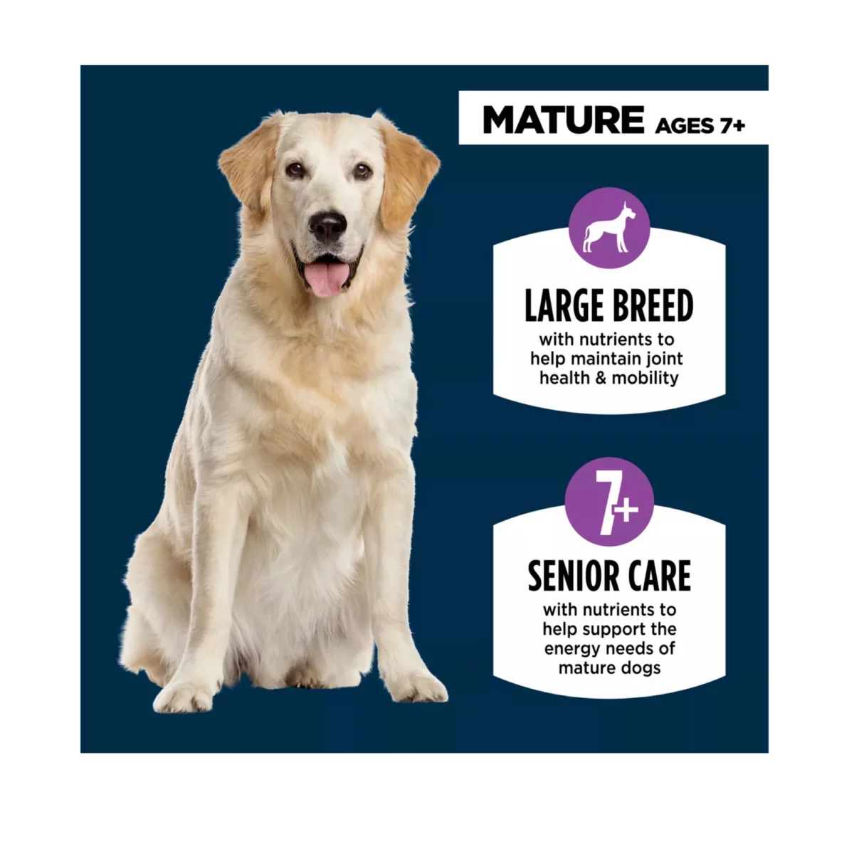 Everyday Health Large Breed Senior 7 Dry Dog Food – Chicken Rice Formula 3