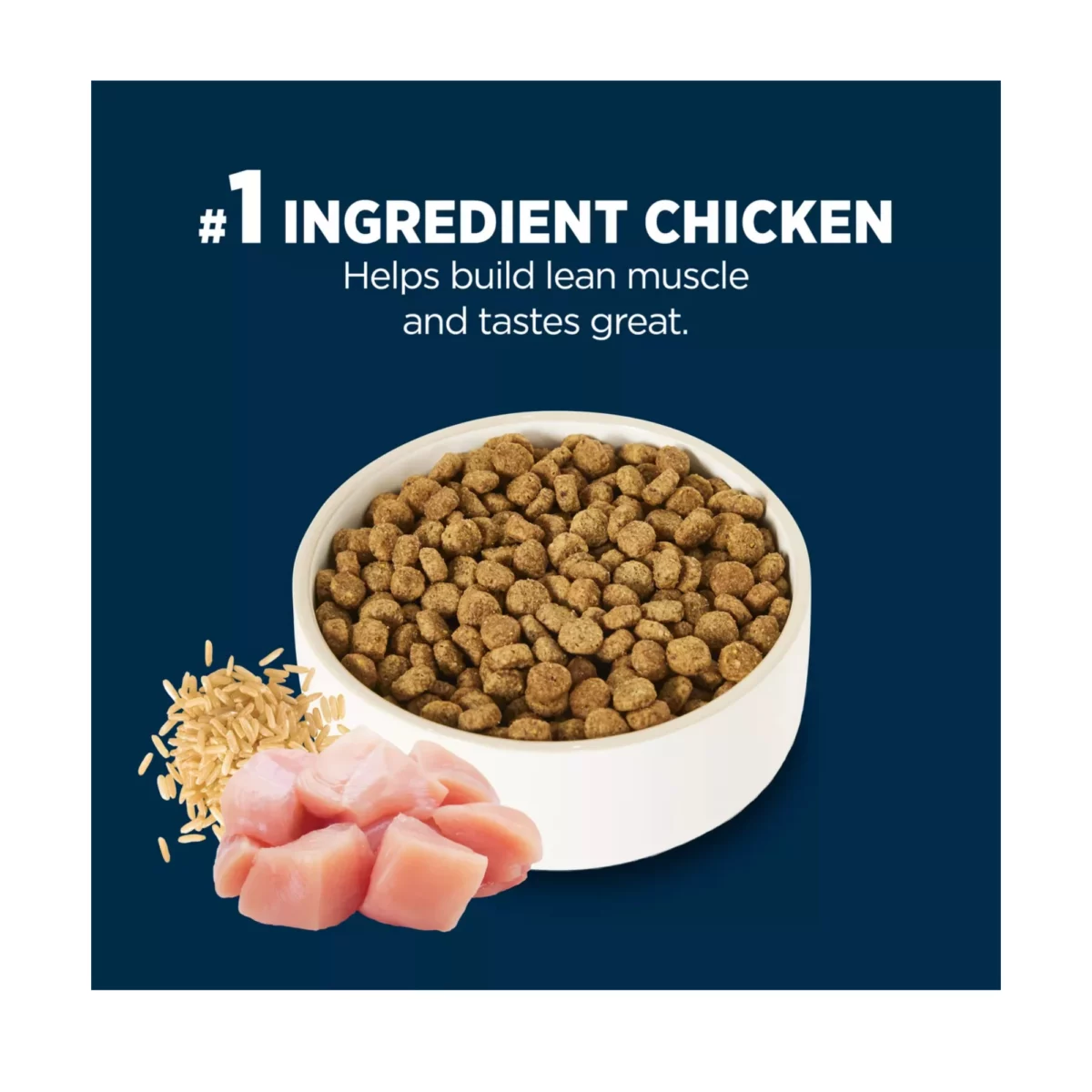 Everyday Health Large Breed Senior 7 Dry Dog Food – Chicken Rice Formula 4