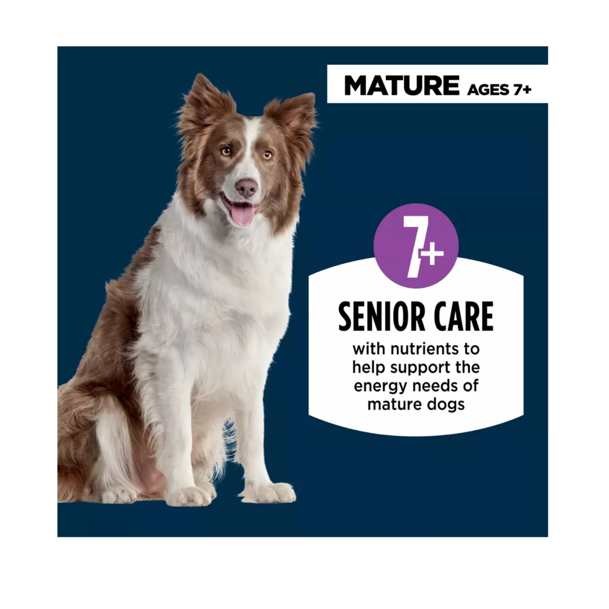 Everyday Health Senior 7 Dry Dog Food – Chicken Rice Formula 3