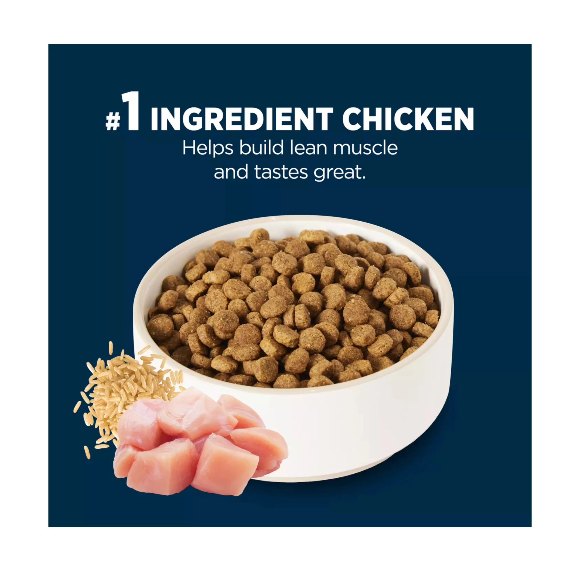 Everyday Health Small Breed Adult Dry Dog Food – Chicken & Rice Formula (5) Everyday Health Small Breed Adult Dry Dog Food – Chicken Rice Formula 5