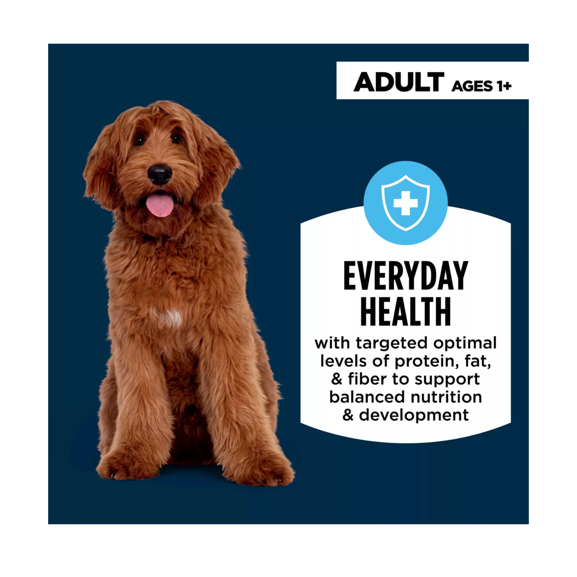 Everyday Health Tender Blends Adult Dry Dog Food – Salmon & Rice Formula (5) Everyday Health Tender Blends Adult Dry Dog Food – Salmon Rice Formula 5