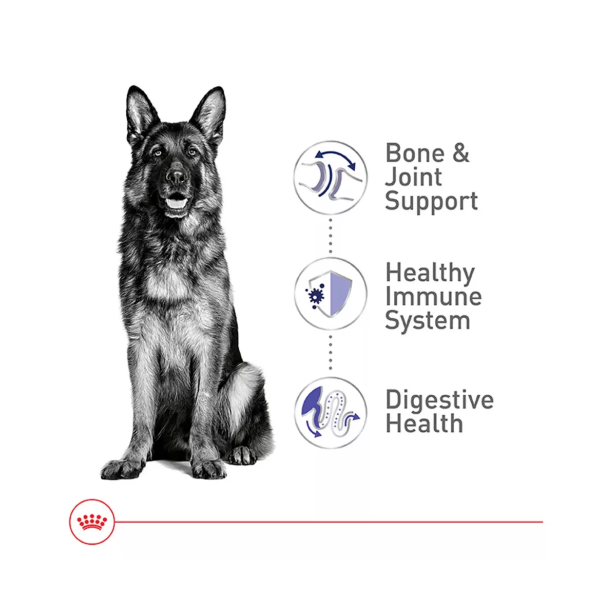 Health Nutrition Large Breed Adult Dry Dog Food – Balanced Formula 4