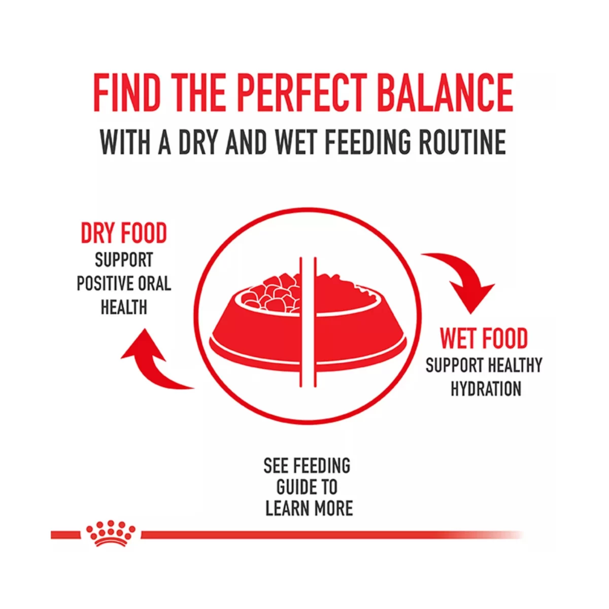 Health Nutrition Medium Breed Adult Dry Dog Food – Balanced Formula 7