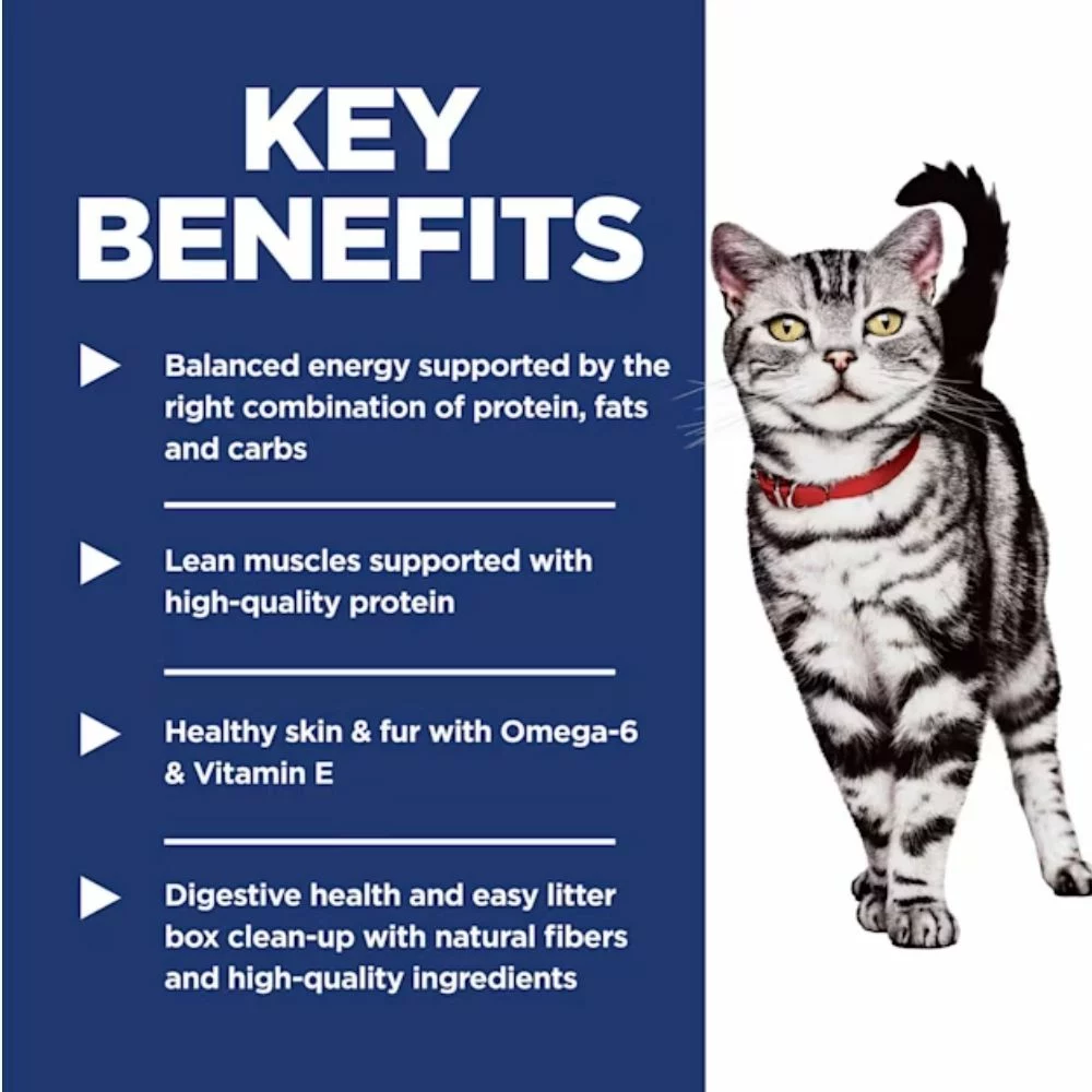 Indoor Adult Dry Cat Food – Chicken Recipe, Balanced Formula for Healthy Weight and Digestion (7) Indoor Adult Dry Cat Food – Chicken Recipe Balanced Formula for Healthy Weight and Digestion 7