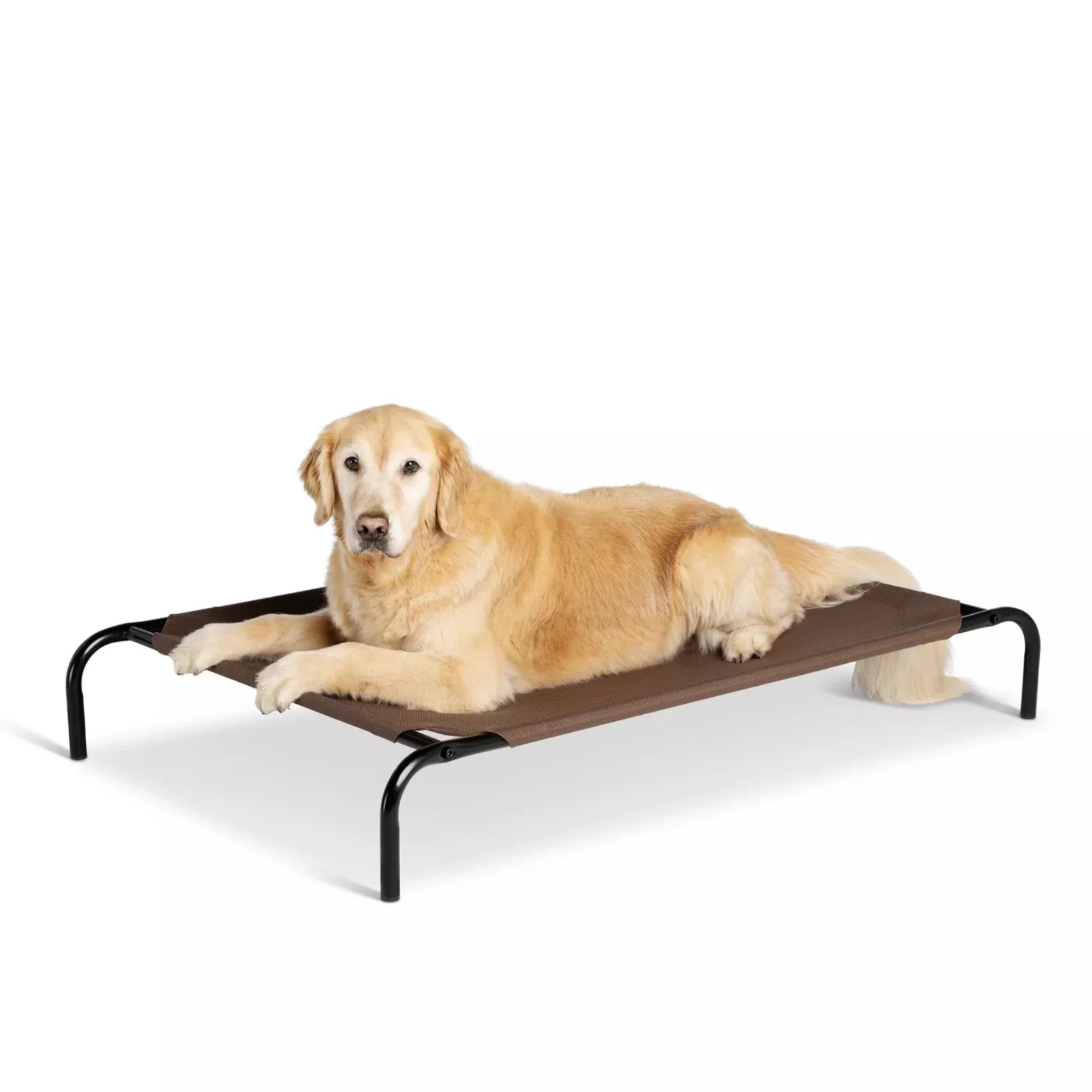 Indoor & Outdoor Elevated Dog Bed – Durable Raised Pet Cot for Comfort (1) Indoor Outdoor Elevated Dog Bed – Durable Raised Pet Cot for Comfort 1