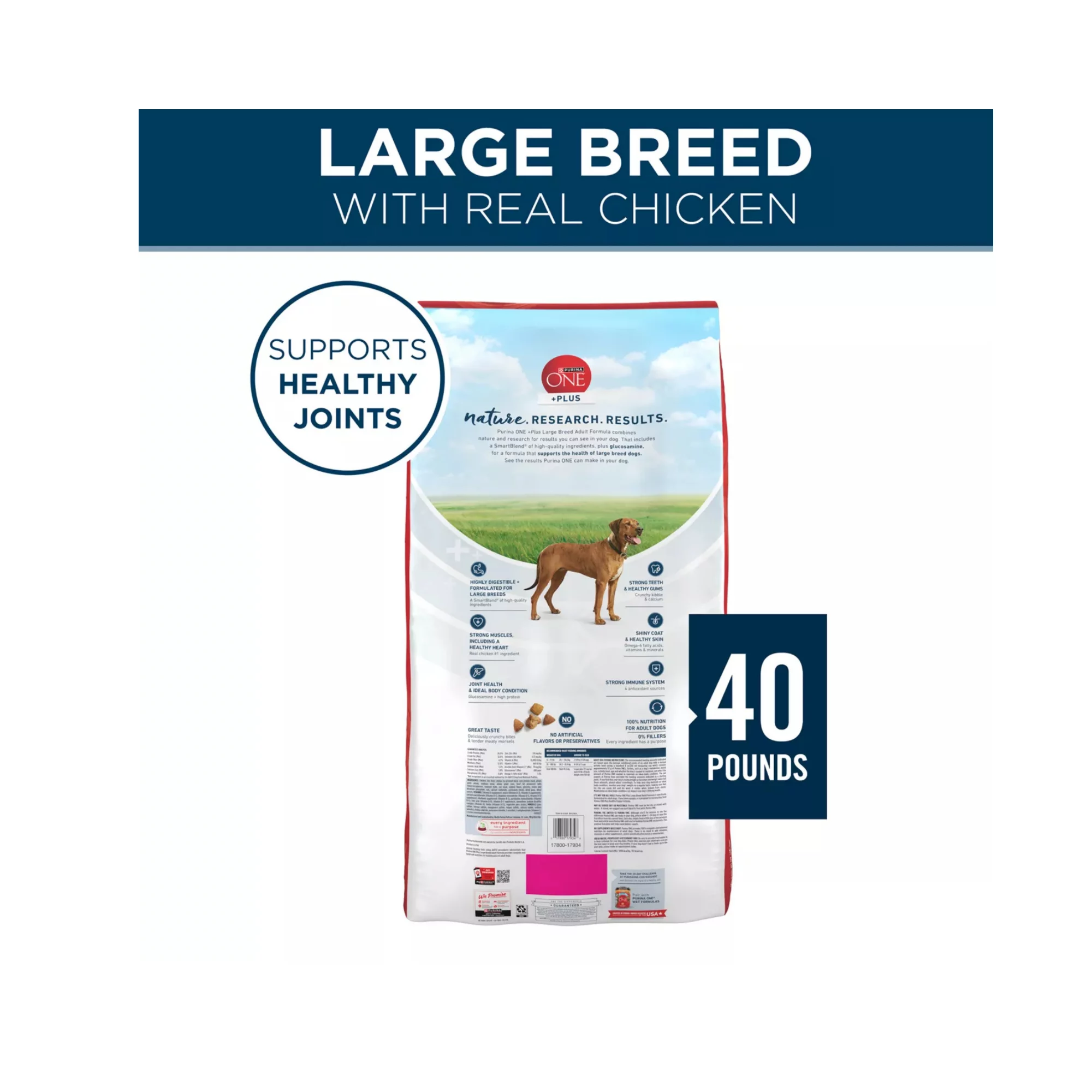 Large Breed Adult Dog Dry Food with Chicken – Natural Formula (2) Large Breed Adult Dog Dry Food with Chicken – Natural Formula 2