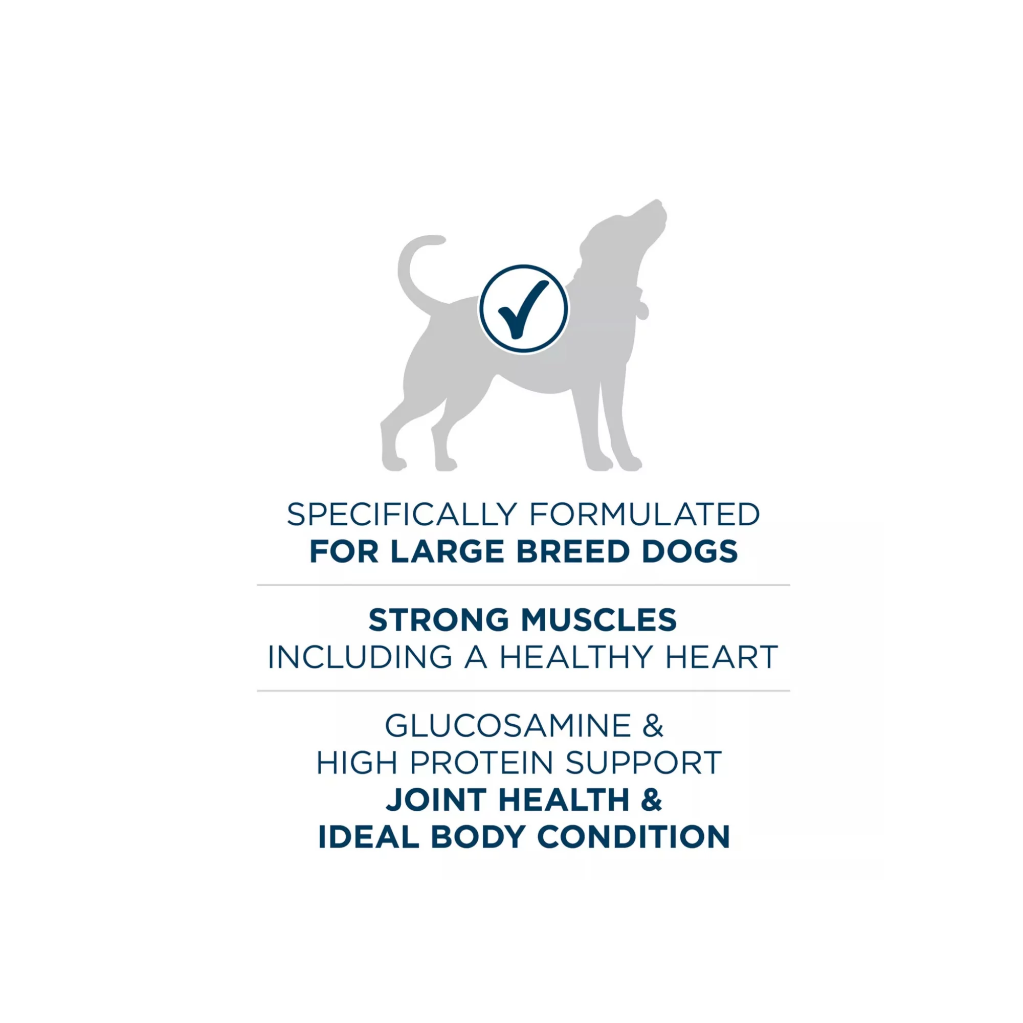 Large Breed Adult Dog Dry Food with Chicken – Natural Formula (4) Large Breed Adult Dog Dry Food with Chicken – Natural Formula 4