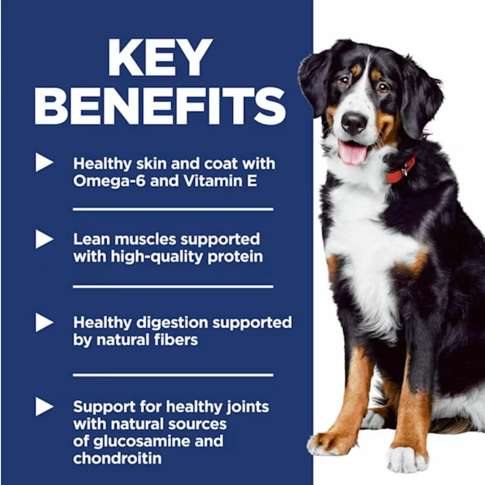 Large Breed Adult Dry Dog Food – Chicken andBarley Recipe, Balanced Nutrition for Strong Joints - Muscles (6) Large Breed Adult Dry Dog Food – Chicken andBarley Recipe Balanced Nutrition for Strong Joints Muscles 6
