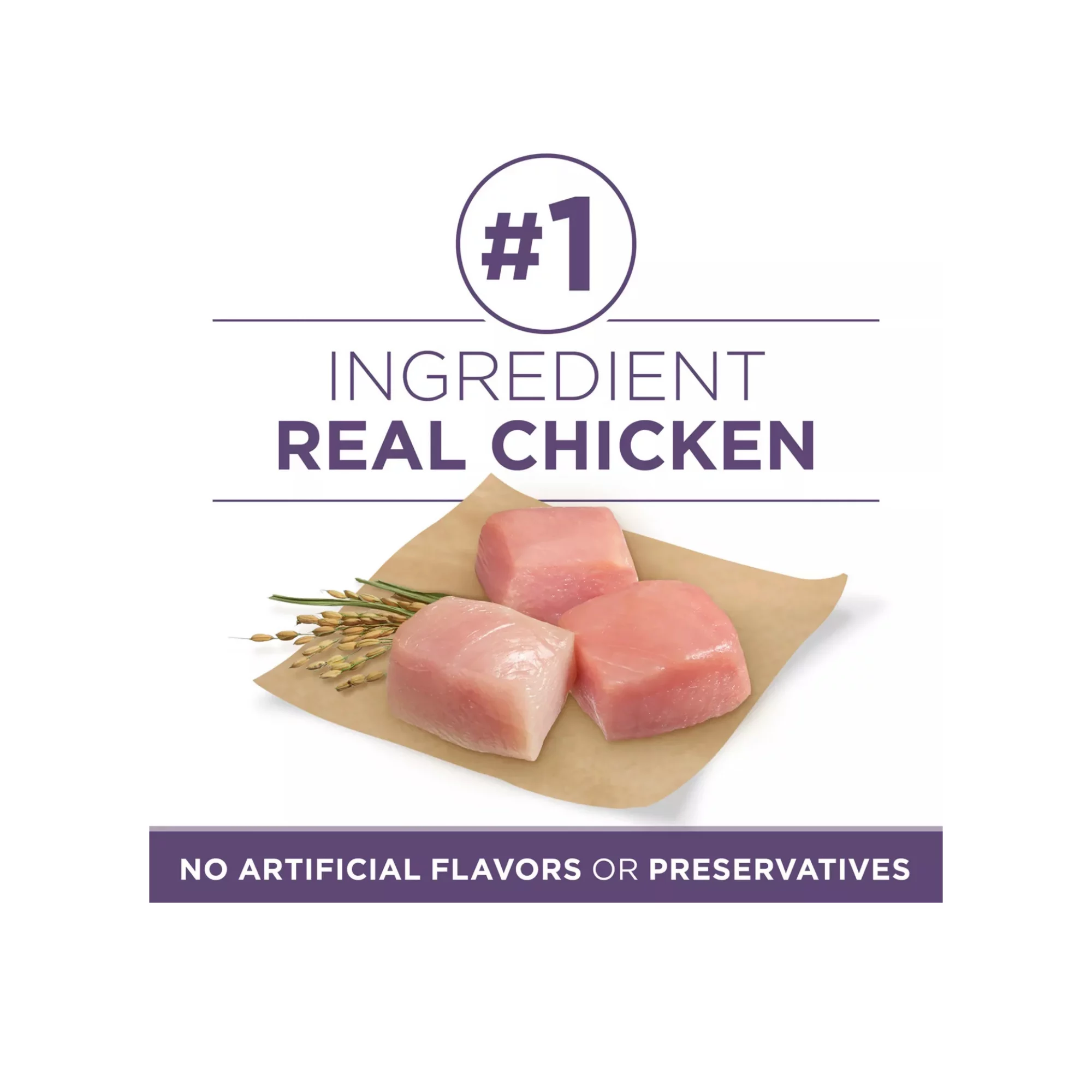 Large Breed Puppy Dry Dog Food with Chicken – High Protein & Antioxidant (3) Large Breed Puppy Dry Dog Food with Chicken – High Protein Antioxidant 3