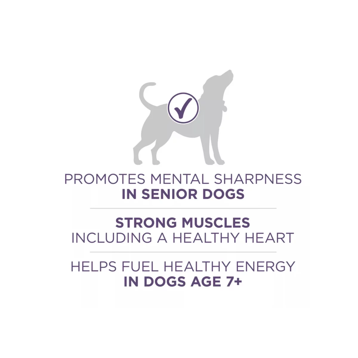 Large Breed Puppy Dry Dog Food with Chicken – High Protein Antioxidant 4