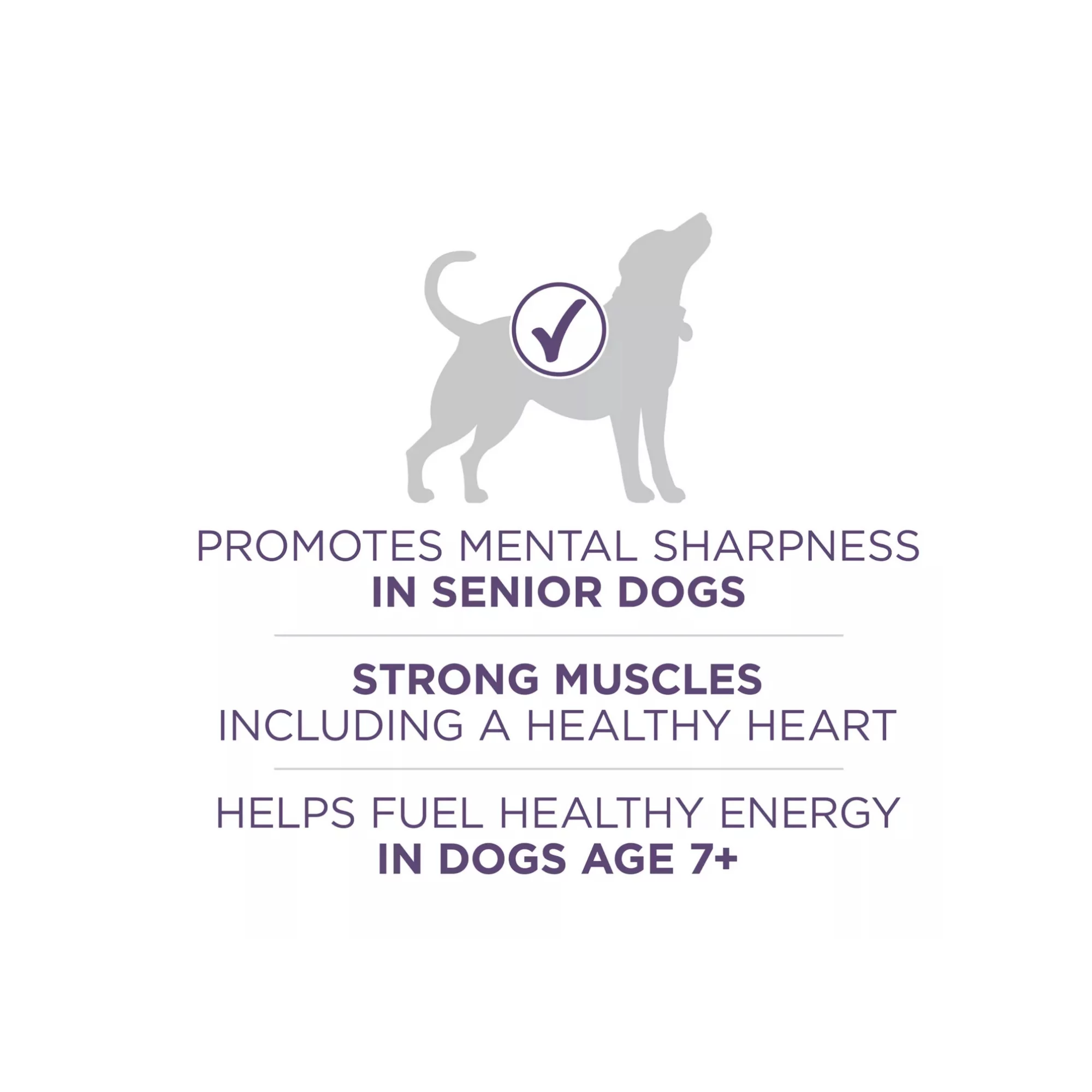 Large Breed Puppy Dry Dog Food with Chicken – High Protein & Antioxidant (4) Large Breed Puppy Dry Dog Food with Chicken – High Protein Antioxidant 4
