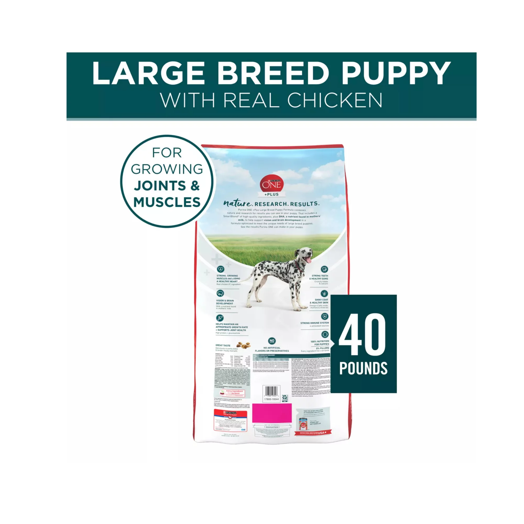 Large Breed Puppy Dry Dog Food with Chicken – High Protein & Antioxidants (2) Large Breed Puppy Dry Dog Food with Chicken – High Protein Antioxidants 2
