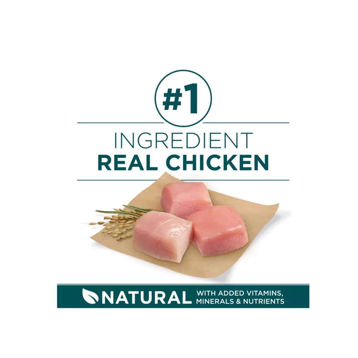 Large Breed Puppy Dry Dog Food with Chicken – High Protein Antioxidants 4