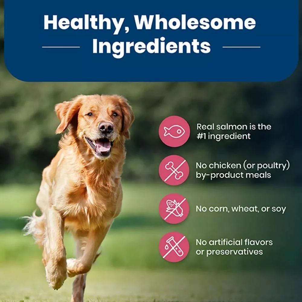 Life Protection Adult Dry Dog Food – Salmon and Rice Recipe for Healthy Skin and Strong Muscles (5) Life Protection Adult Dry Dog Food – Salmon and Rice Recipe for Healthy Skin and Strong Muscles 5