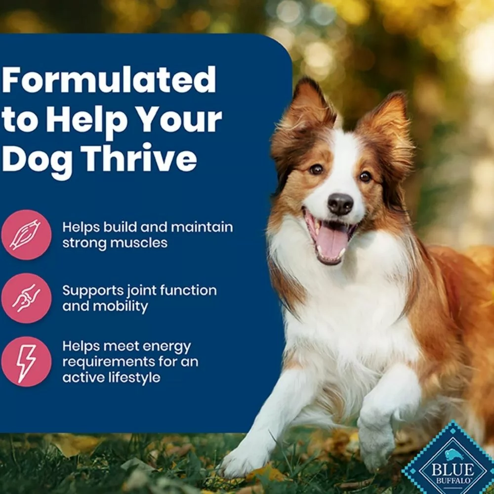 Life Protection Adult Dry Dog Food – Salmon and Rice Recipe for Healthy Skin and Strong Muscles (6) Life Protection Adult Dry Dog Food – Salmon and Rice Recipe for Healthy Skin and Strong Muscles 6