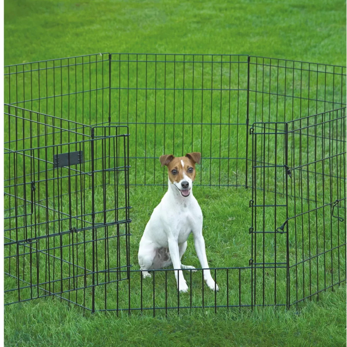 Portable Metal Exercise Pen for Dogs – Indoor Outdoor Pet Playpen 3