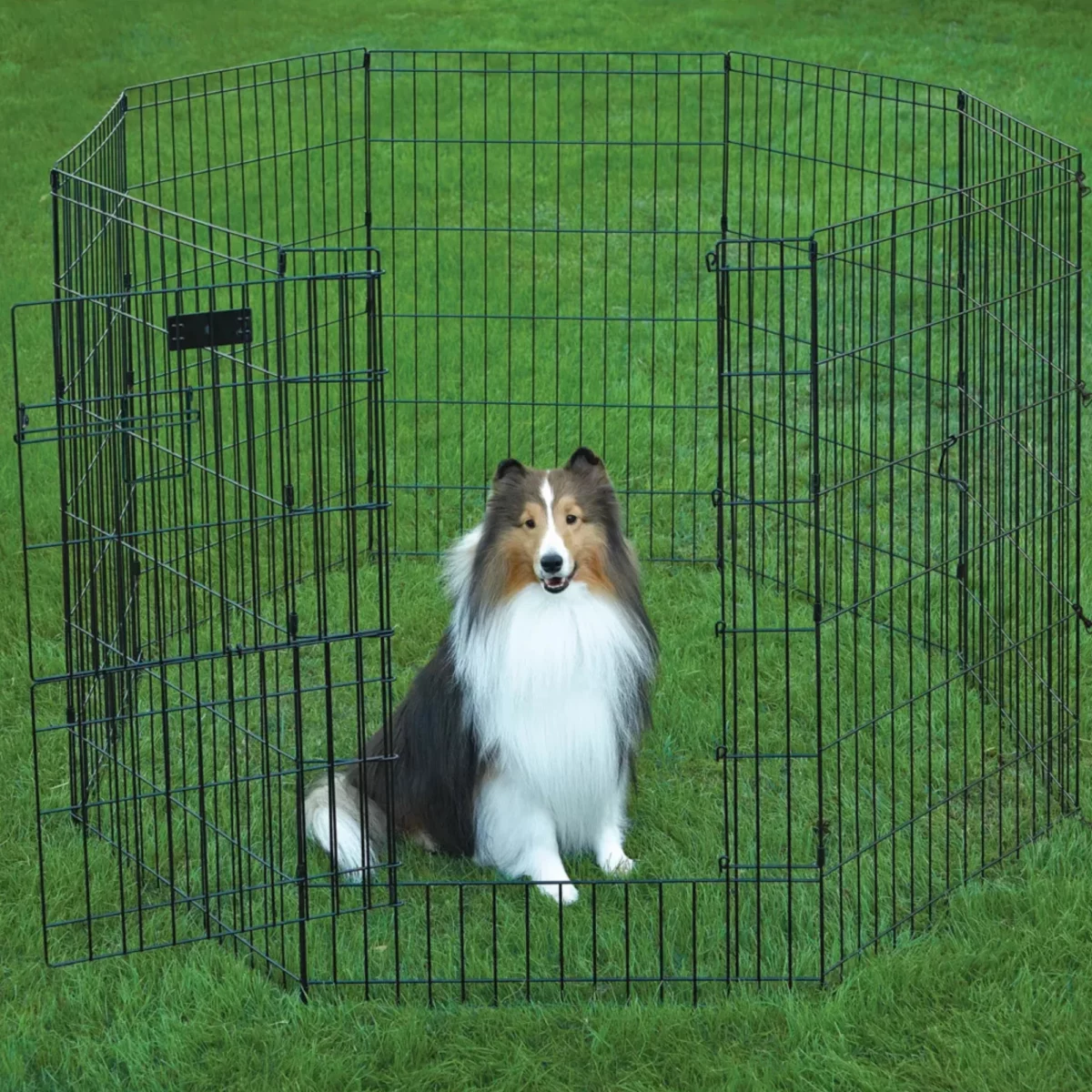 Portable Metal Exercise Pen for Dogs – Indoor Outdoor Pet Playpen 6