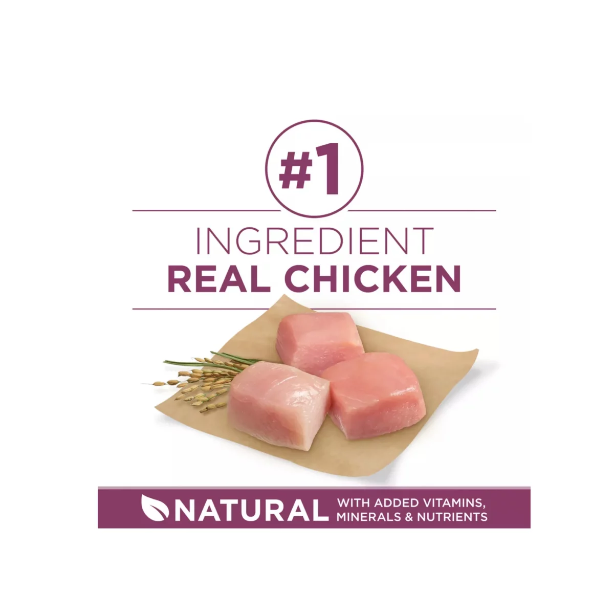 Puppy Dry Dog Food with Chicken – High Protein Natural Formula 4