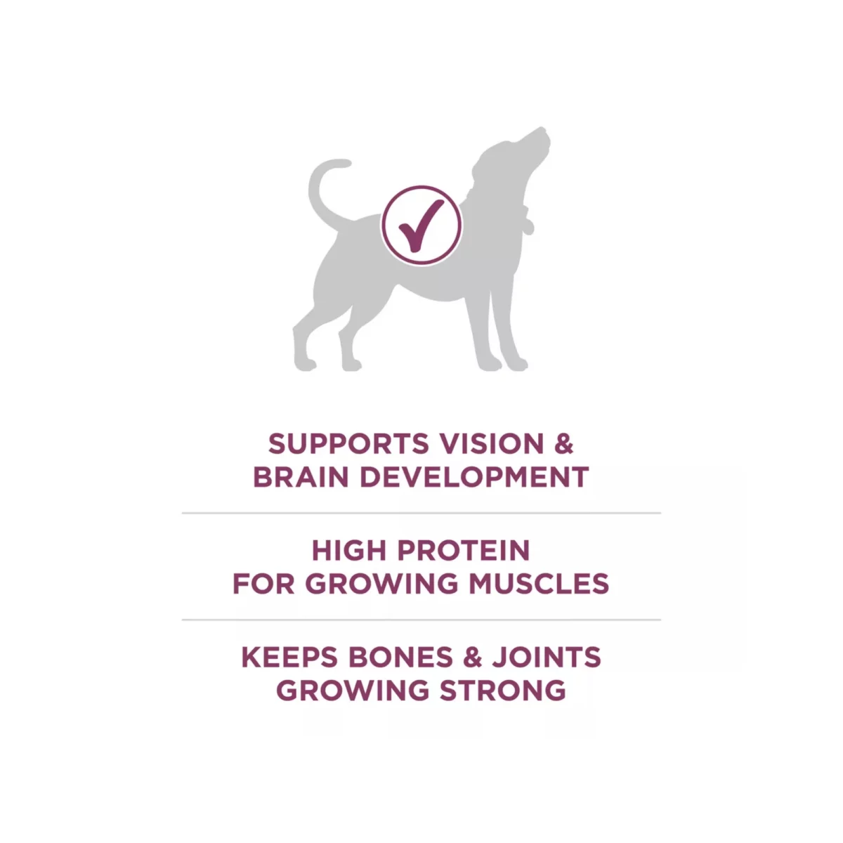 Puppy Dry Dog Food with Chicken – High Protein Natural Formula 5
