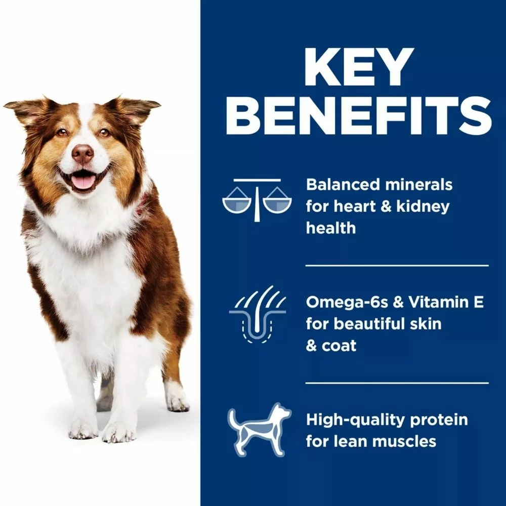 Senior 7 Plus Dry Dog Food – Chicken, Barley and Brown Rice Recipe for Healthy Aging and Strong Joints (6) Senior 7 Plus Dry Dog Food – Chicken Barley and Brown Rice Recipe for Healthy Aging and Strong Joints 6