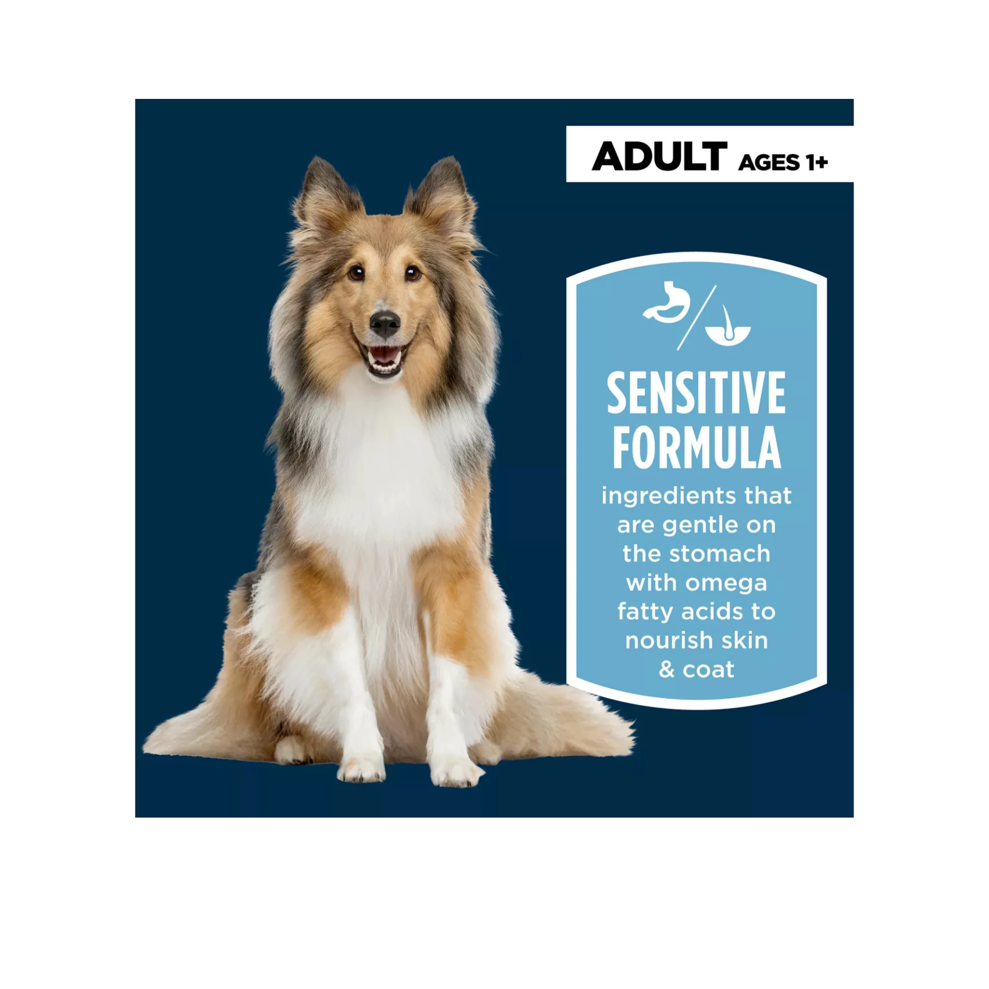 Sensitive Stomach & Skin Adult Dry Dog Food – Chicken & Rice Formula (3) Sensitive Stomach Skin Adult Dry Dog Food – Chicken Rice Formula 3