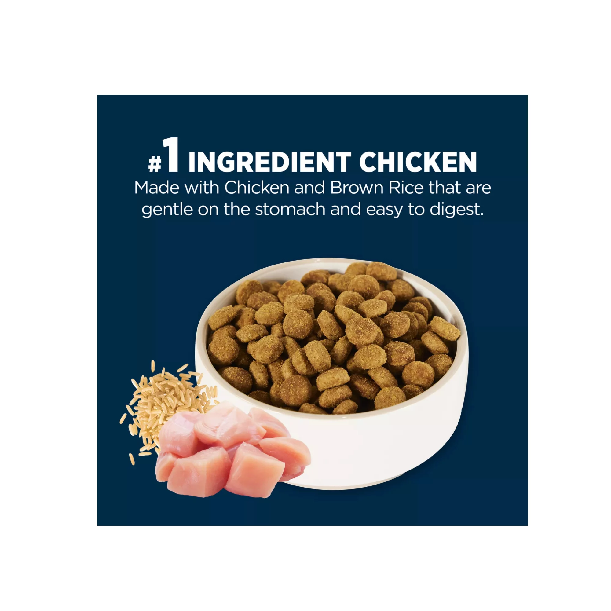 Sensitive Stomach & Skin Adult Dry Dog Food – Chicken & Rice Formula (4) Sensitive Stomach Skin Adult Dry Dog Food – Chicken Rice Formula 4