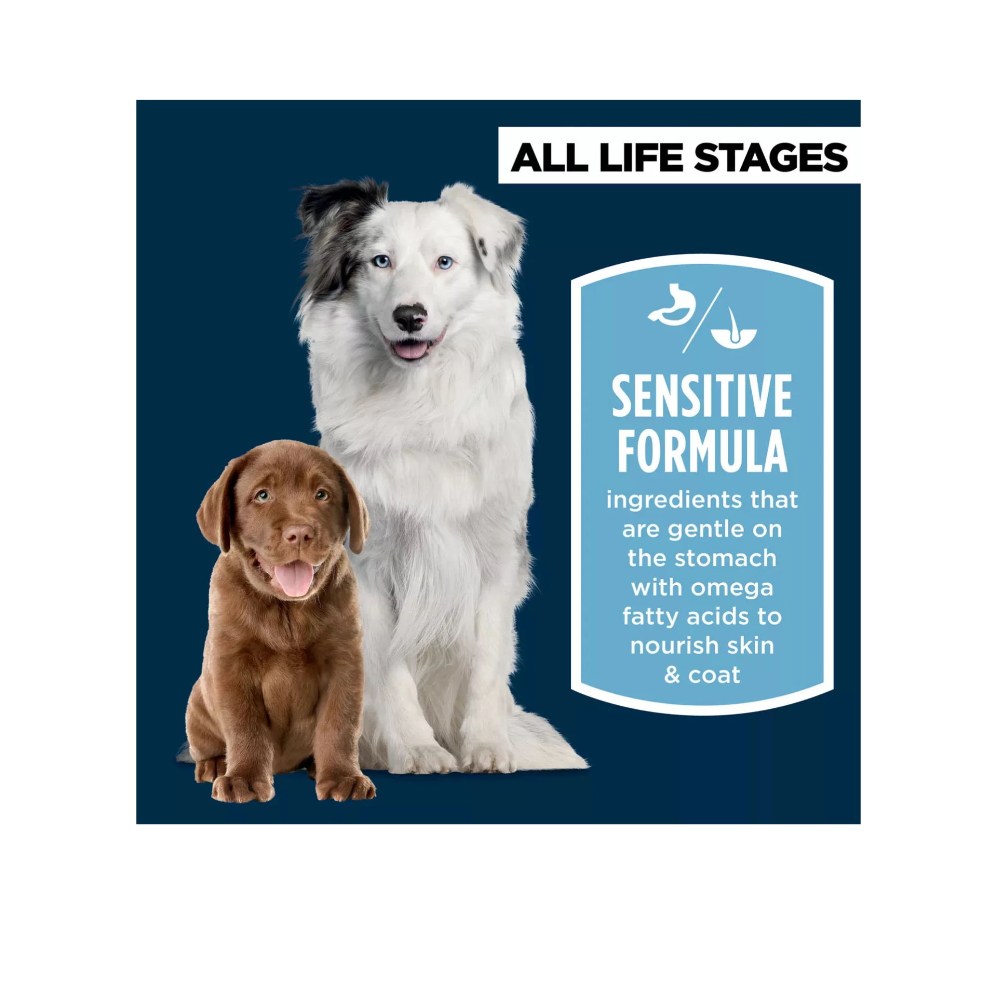 Sensitive Stomach & Skin Dry Dog Food – Salmon & Rice Formula for All Life Stages (3) Sensitive Stomach Skin Dry Dog Food – Salmon Rice Formula for All Life Stages 3
