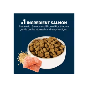 Sensitive Stomach Skin Dry Dog Food – Salmon Rice Formula for All Life Stages 4