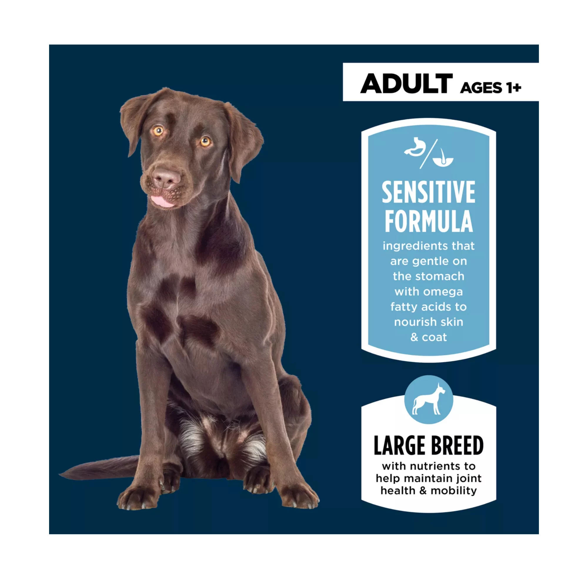Sensitive Stomach & Skin Large Breed Adult Dog Dry Food – Salmon & Rice Formula (4) Sensitive Stomach Skin Large Breed Adult Dog Dry Food – Salmon Rice Formula 4