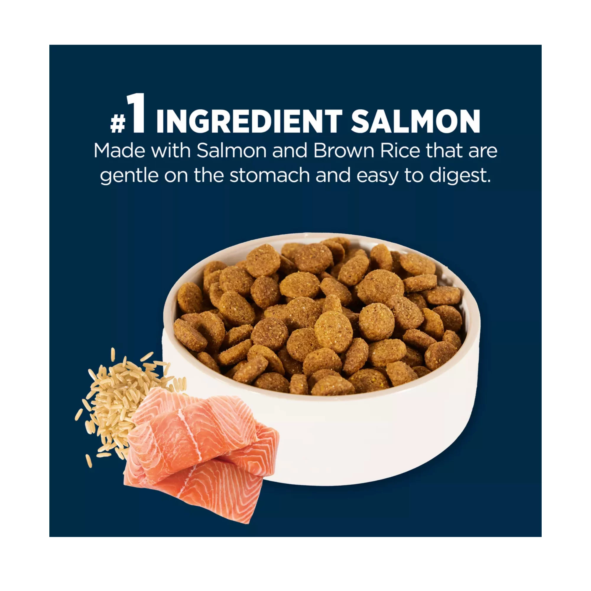 Sensitive Stomach & Skin Large Breed Adult Dog Dry Food – Salmon & Rice Formula (5) Sensitive Stomach Skin Large Breed Adult Dog Dry Food – Salmon Rice Formula 5