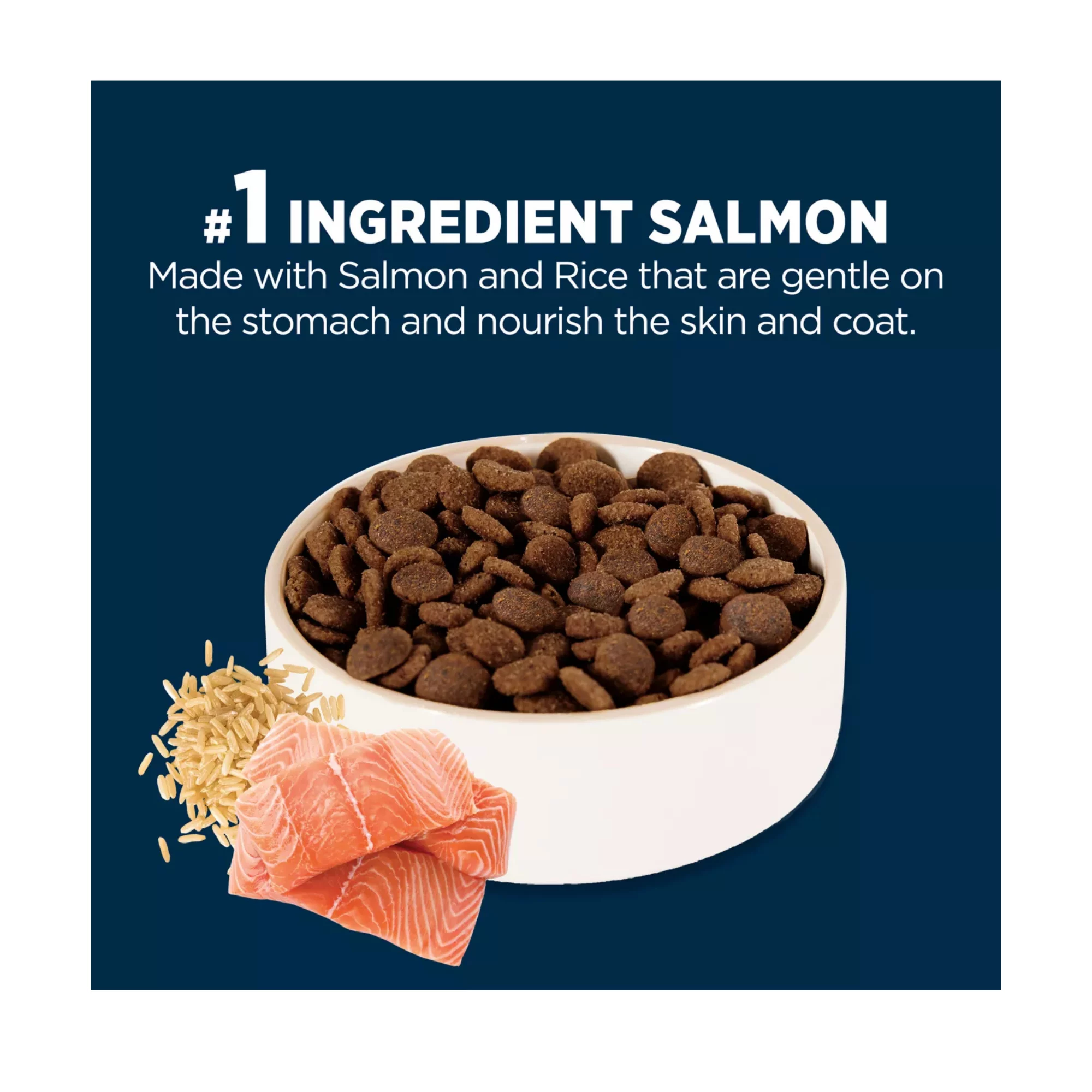 Sensitive Stomach & Skin Large Breed Puppy Dry Dog Food – Salmon & Rice Formula, 34 lb (4) Sensitive Stomach Skin Large Breed Puppy Dry Dog Food – Salmon Rice Formula 34 lb 4