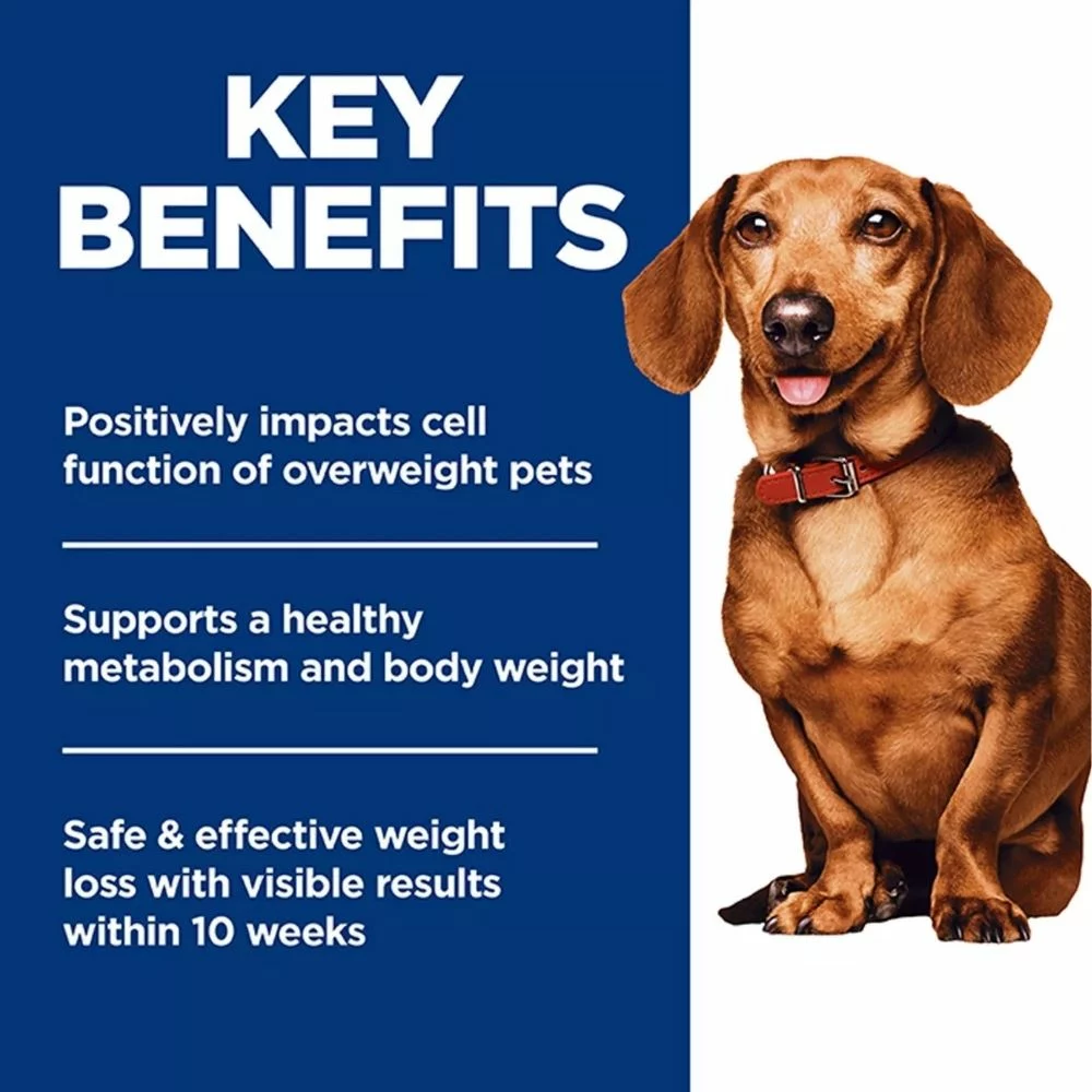 Small and Mini Adult Dry Dog Food – Chicken Recipe for Healthy Weight Management and Energy Balance (2) Small and Mini Adult Dry Dog Food – Chicken Recipe for Healthy Weight Management and Energy Balance 2