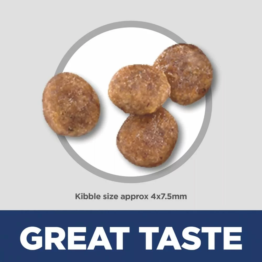 Small and Mini Adult Dry Dog Food – Chicken and Brown Rice Recipe for Healthy Digestion and Shiny Coat (3) Small and Mini Adult Dry Dog Food – Chicken and Brown Rice Recipe for Healthy Digestion and Shiny Coat 3