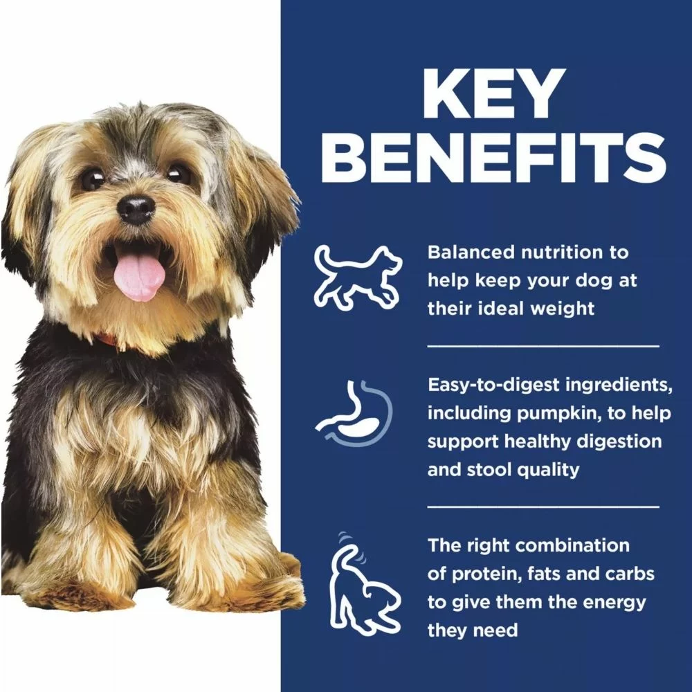 Small and Mini Adult Dry Dog Food – Chicken and Brown Rice Recipe for Healthy Digestion and Shiny Coat (6) Small and Mini Adult Dry Dog Food – Chicken and Brown Rice Recipe for Healthy Digestion and Shiny Coat 6