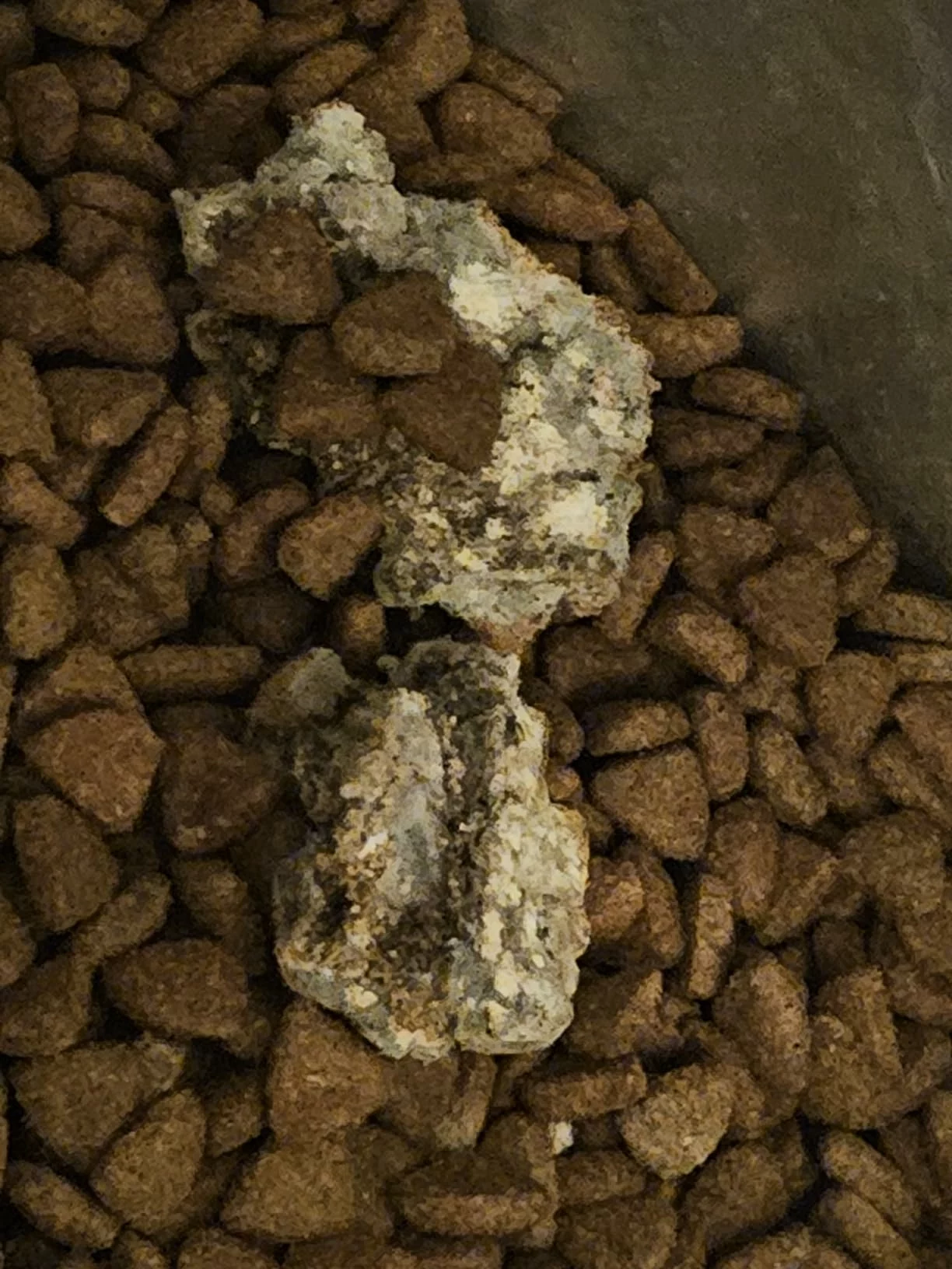 Click to view full screen Wilderness Large Breed Adult Chicken Dry Dog Food – High-Protein, Grain-Free Nutrition for Strong Muscles and Active Energy photo review