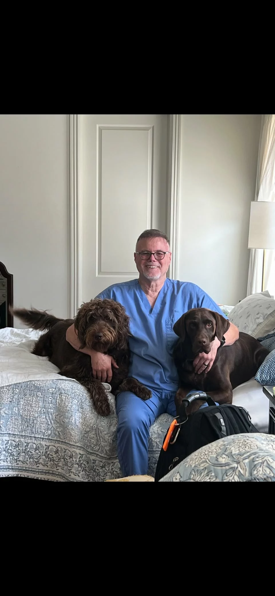 Click to view full screen Labrador Retriever Adult Dry Dog Food – Tailored Nutrition for Healthy Weight and Strong Joints photo review