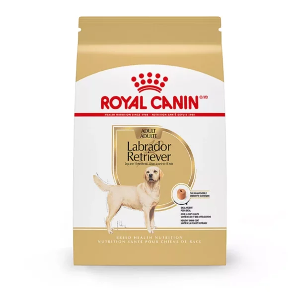 Labrador Retriever Adult Dry Dog Food – Specialized Formula for Healthy Weight and Joint Support