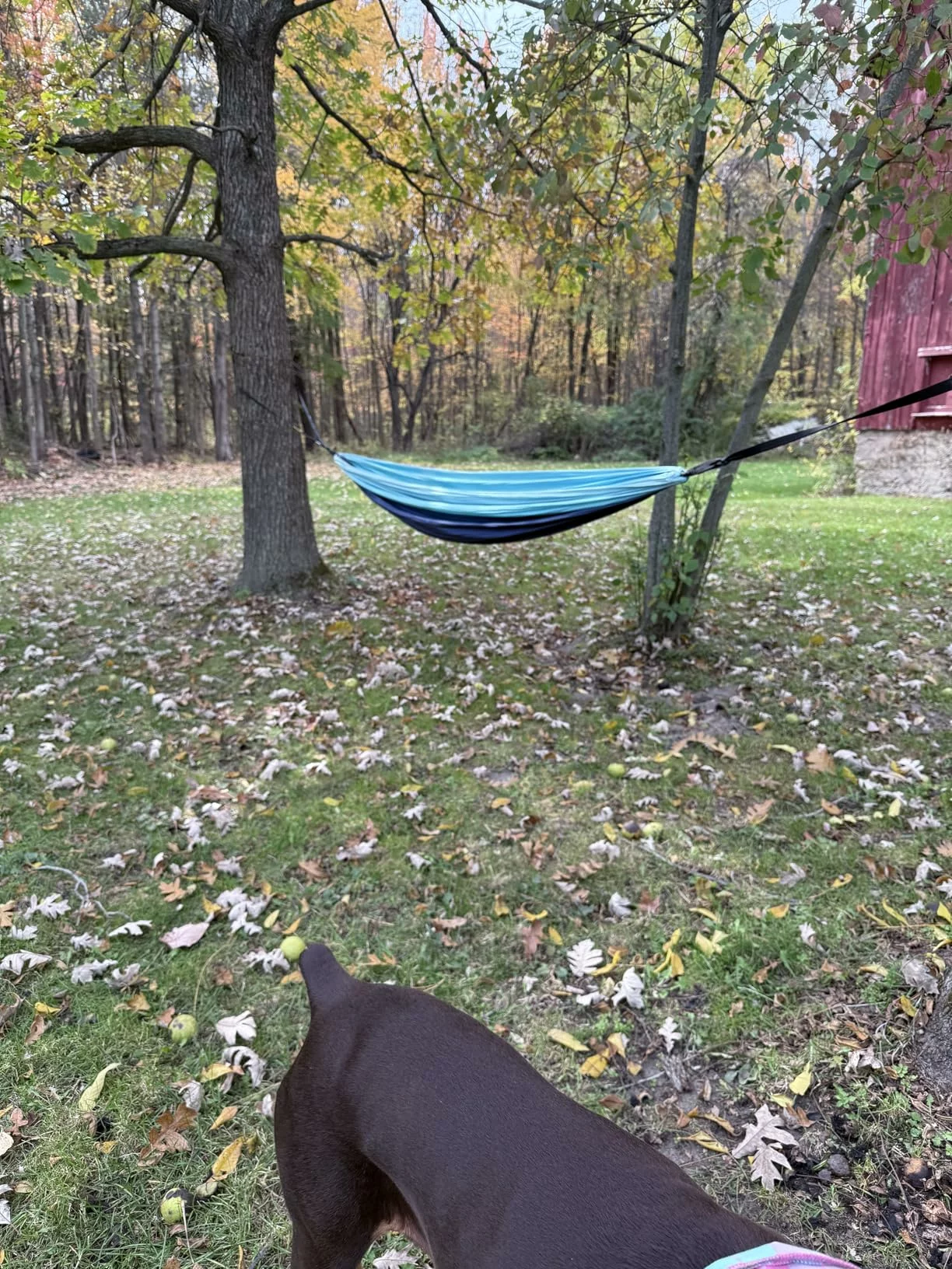 CORE Parachute Stripe Single Hammock – Lightweight, Durable Camping Hammock for Relaxation Anywhere photo review